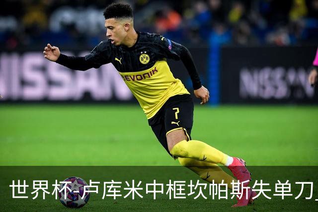 世界杯-卢库米中框坎帕斯失单刀 瑞士平哥伦比亚进点球